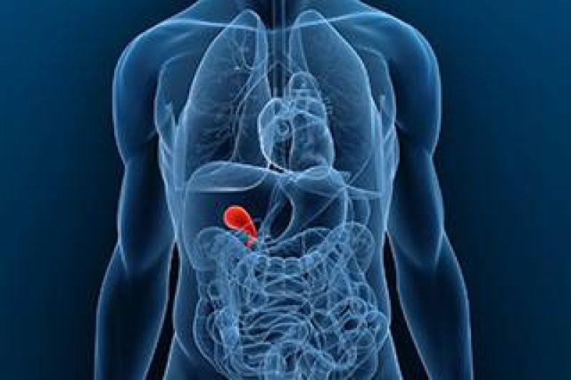 The risk of gall bladder cancer