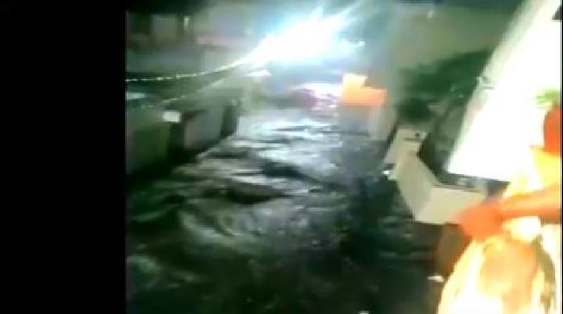 (Heavy rains in Telangana)