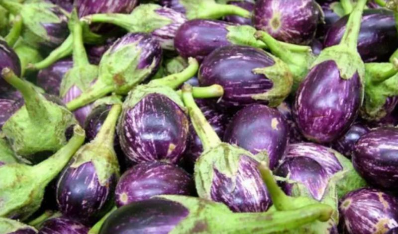 Brinjal