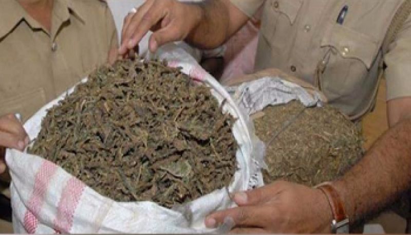 2 arrested with 72.50 Quintal Poppy 