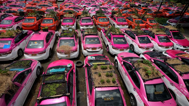  (Farming on the roofs of taxis in Thailand) 