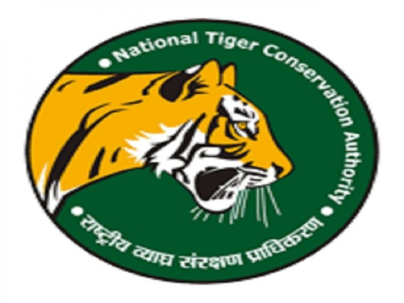 National Tiger Conservation Authority