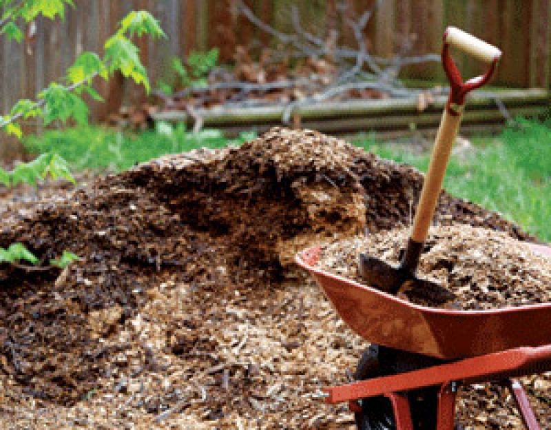 Crops Manure Fertilizer