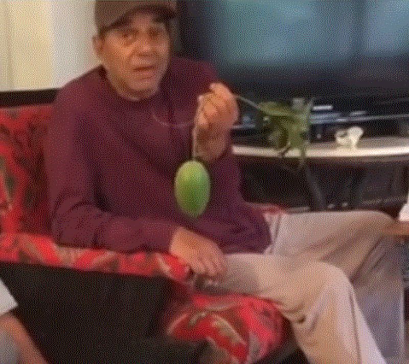  Dharmendra Shared Video And Introduced The Fruits Of His Labor