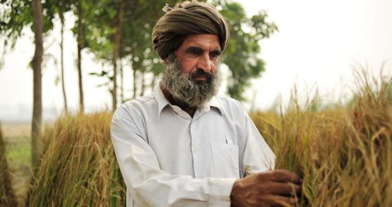 Punjab Farmers