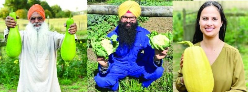  organic Punjabi vegetables 