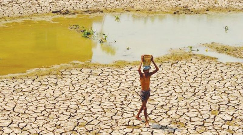 Punjab will be a desert in 20-25 years