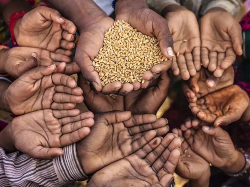 The Government of India will distribute free foodgrains in May and June