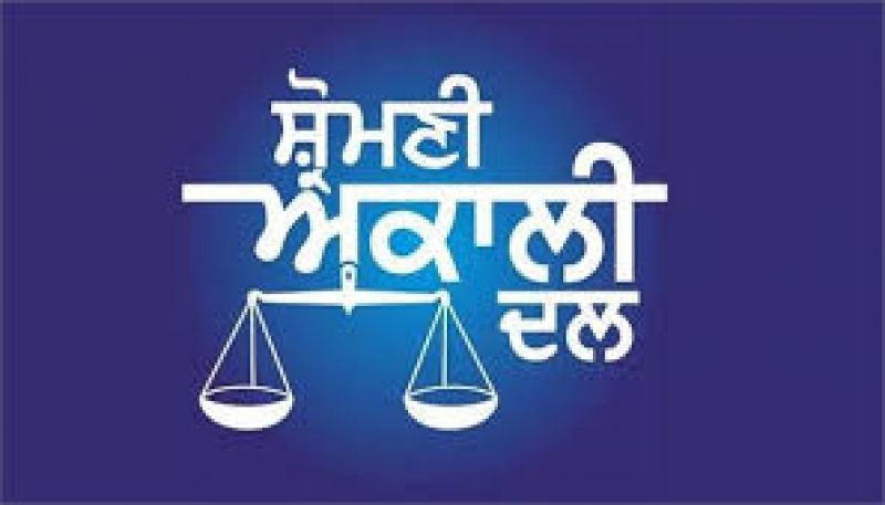 akali dal announced candidate from jalalabad