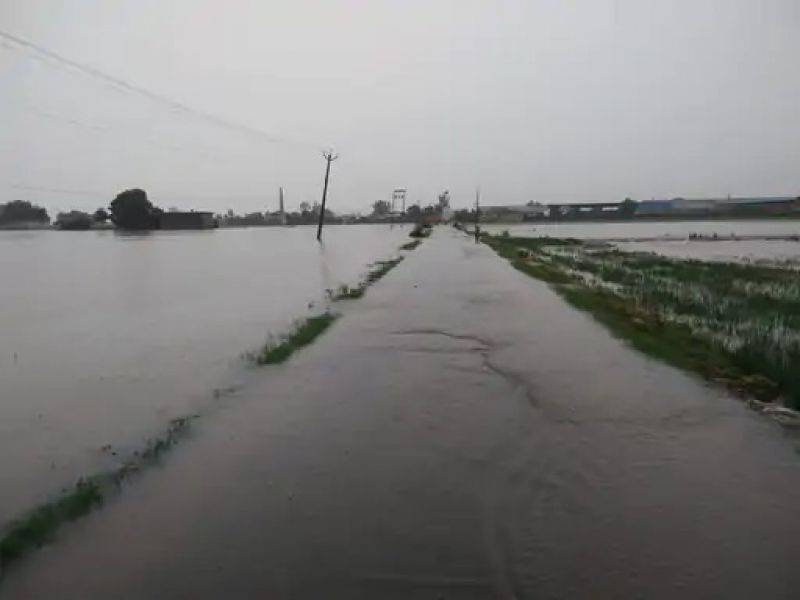 Flood alert in Gurdaspur