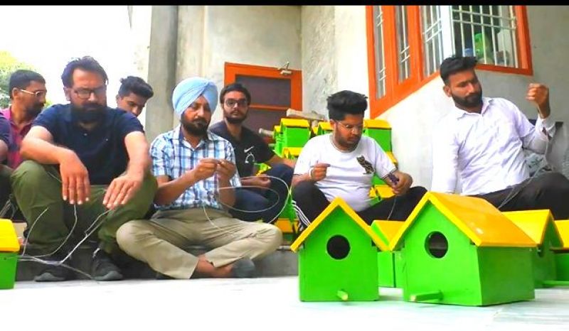 Youngsters from village Dhaula trying to save the birds