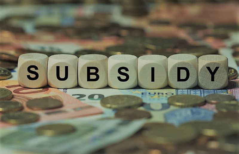 Subsidy