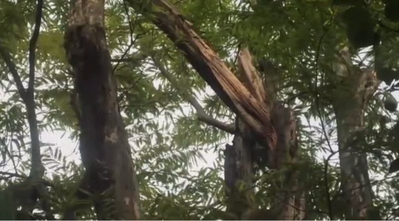 Strong winds and tornadoes cost millions