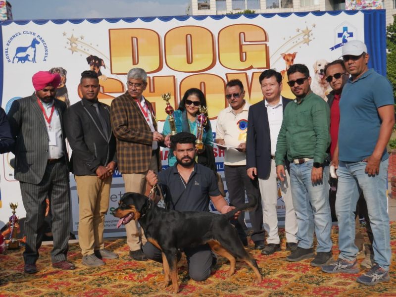 Mega dog show Panchkula