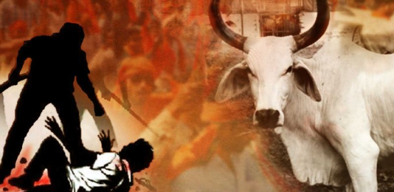 Doubt of cow smuggling