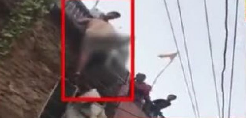 Delhi Naked Man Parade