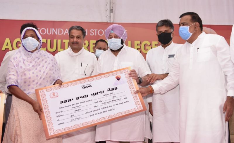 PAU College of Agriculture