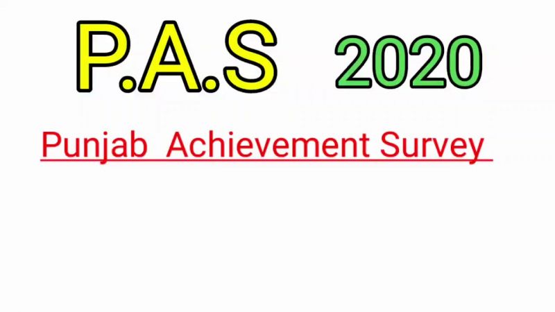  Punjab Achievement Survey