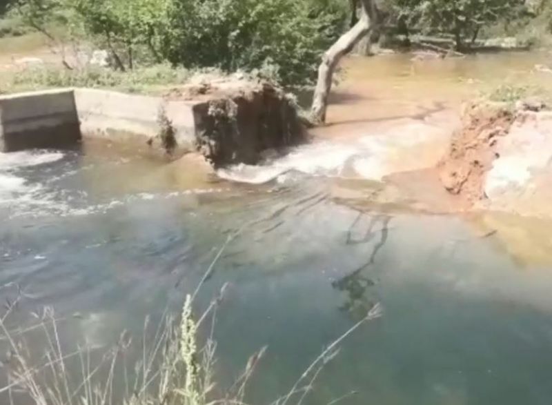Waterlogged wheat crop due to breach in New Dhandal canal