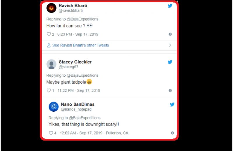 Man catches dinosaur fish in Norway photo went viral