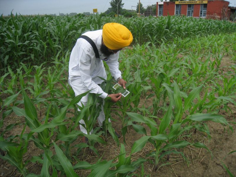 Varinderpal Singh refuses to accept prestigious award