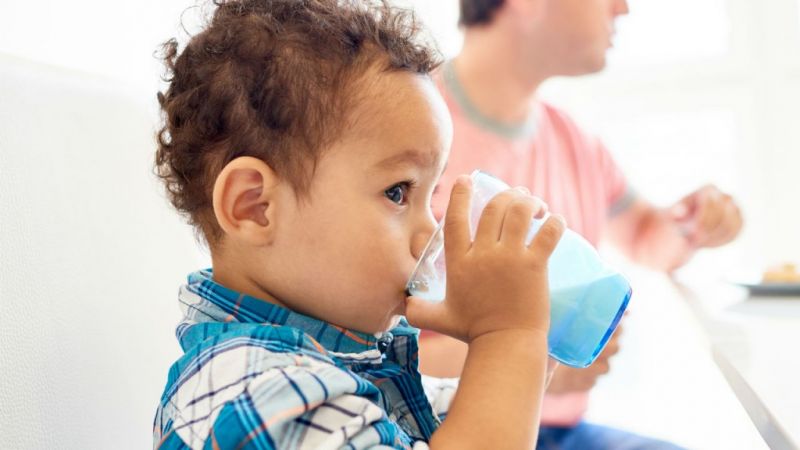 plants based milk does not provide full nutrition to young children