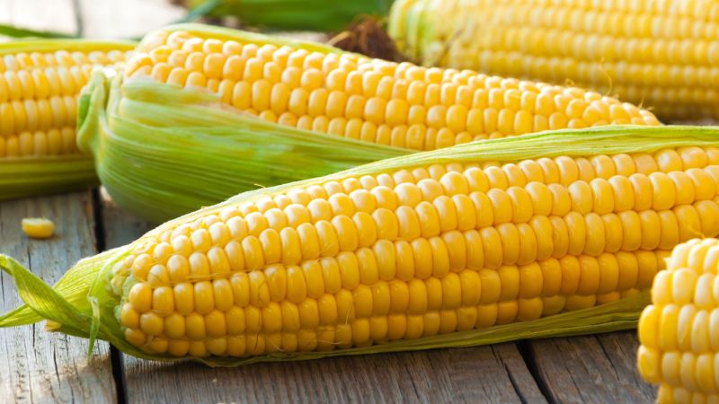 corn