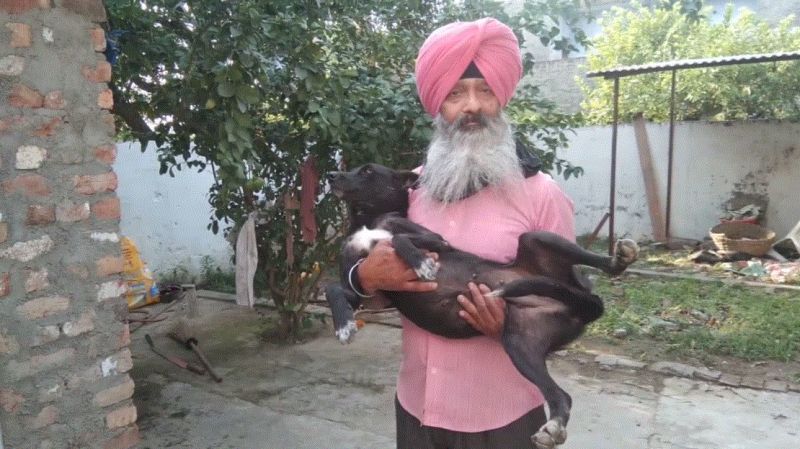 Gursikh family relies on speechless, unique initiative to take care of homeless