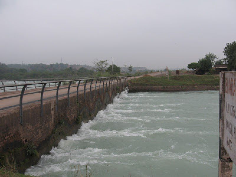 honor killing in royal city patiala