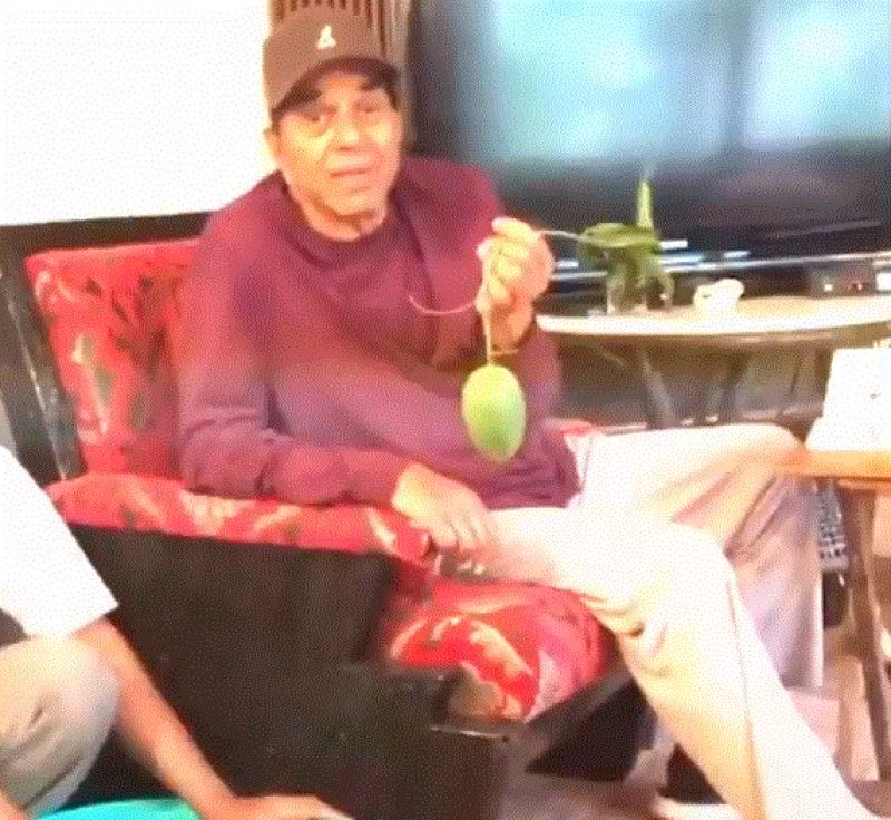  Dharmendra Shared Video And Introduced The Fruits Of His Labor