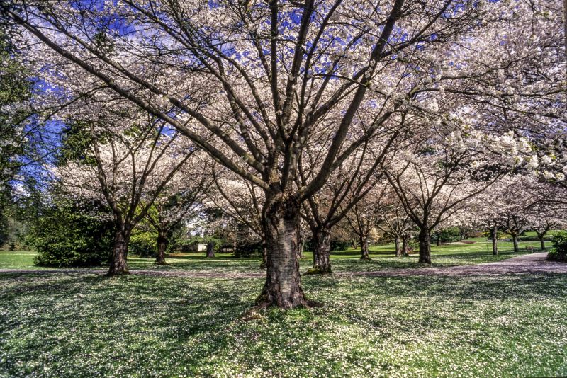 Canada Spring Season