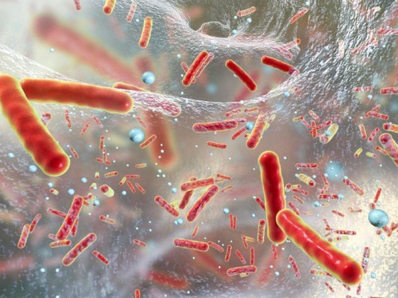 IIT Guwahati researchers develop device to detect bacteria
