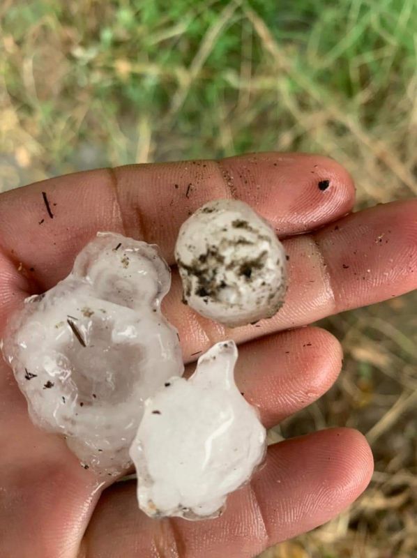  Unseasonal rains and hailstorms wreak havoc in Punjab