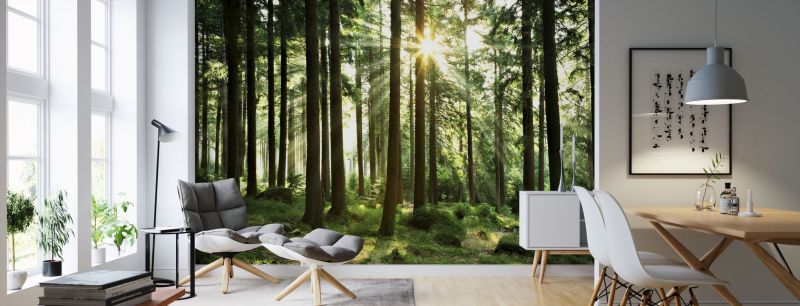 Nature theme decoration