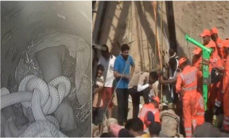 borewell fatehveer singh