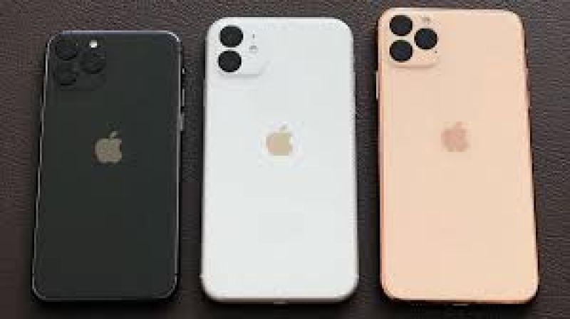  Iphone Launch Today : iPhone 11 