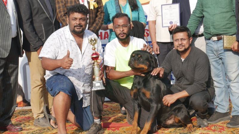 Mega dog show Panchkula
