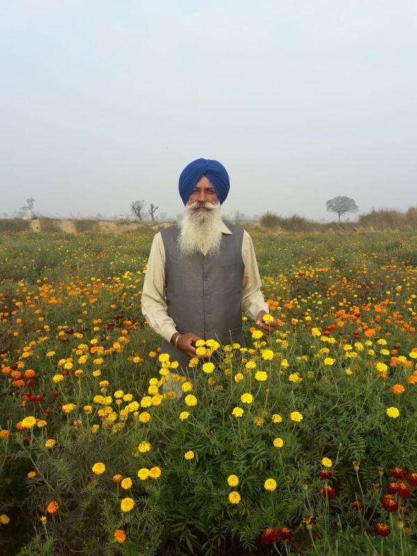 Bharbhoor singh