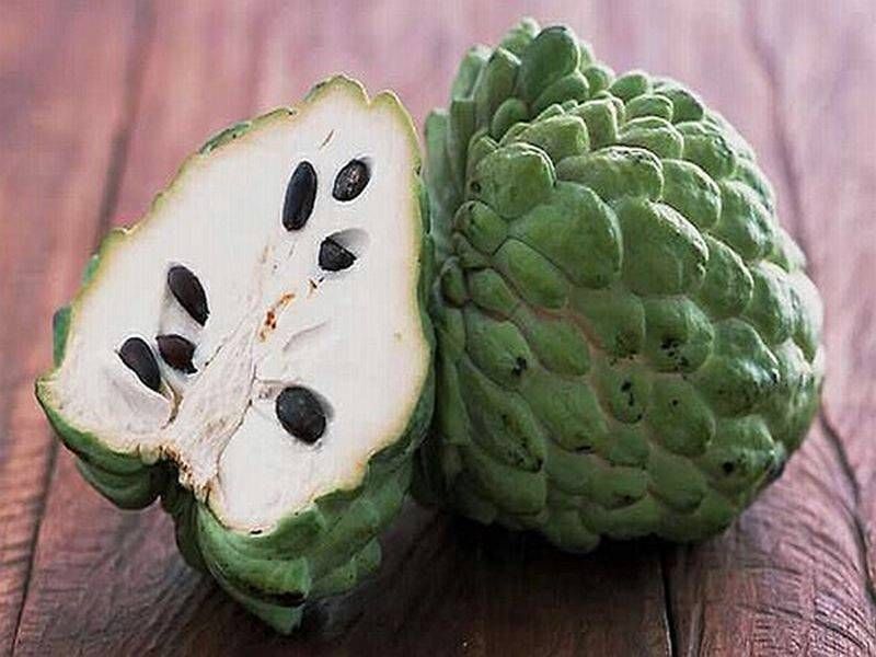 Sugar-apple