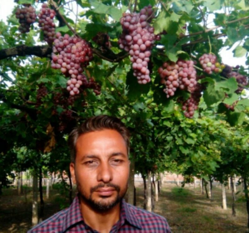 Amarjit Singh Dhillon 