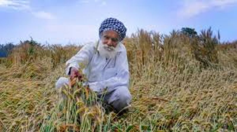 Centre to launch pension scheme for small farmers