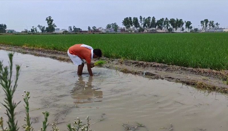 The college topper forced the young to work,