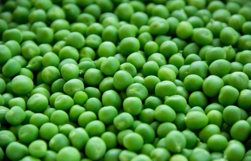Green Peas