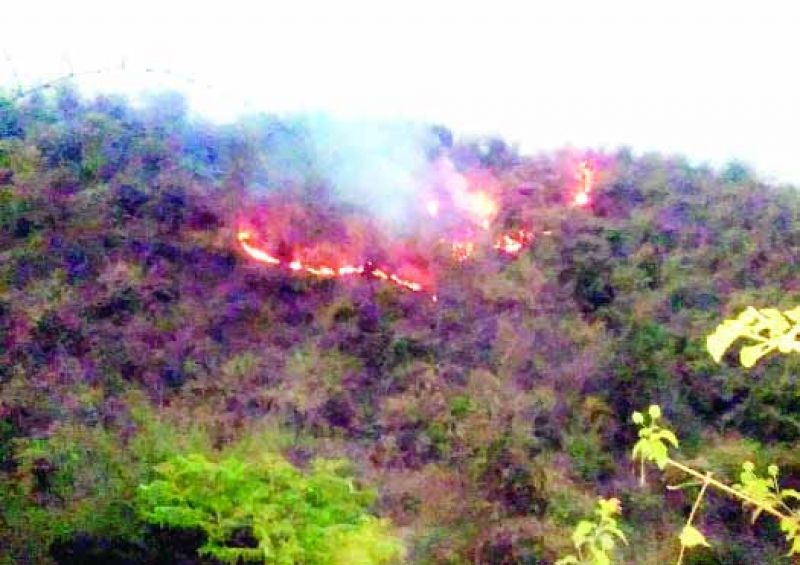  the fire started wrapping up 125 acres of forest area