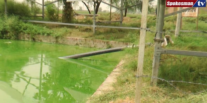Village Dal Singh Wala : Irrigation with solar panel