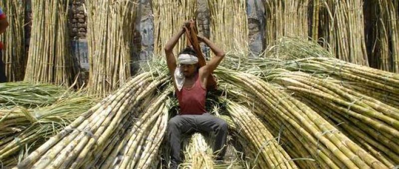 Sugar price increase