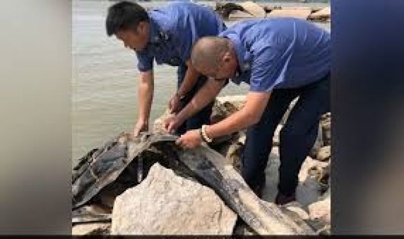 China yangtze river mysterious 65 foot monster spotted