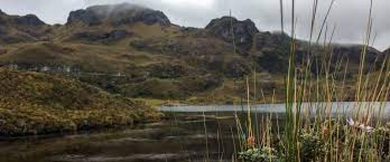 Cajas National Park 