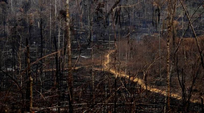 Fires in Brazil's Amazon up 28% in July