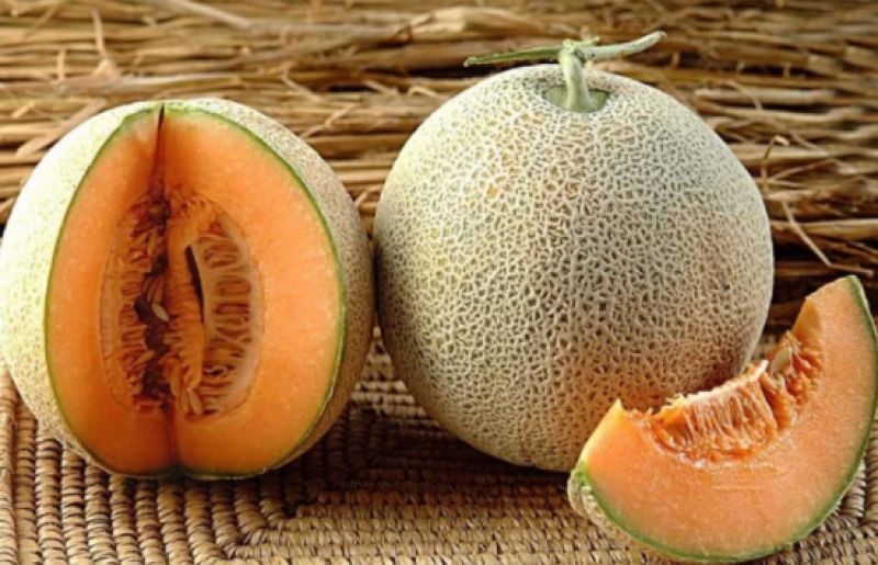 Muskmelon